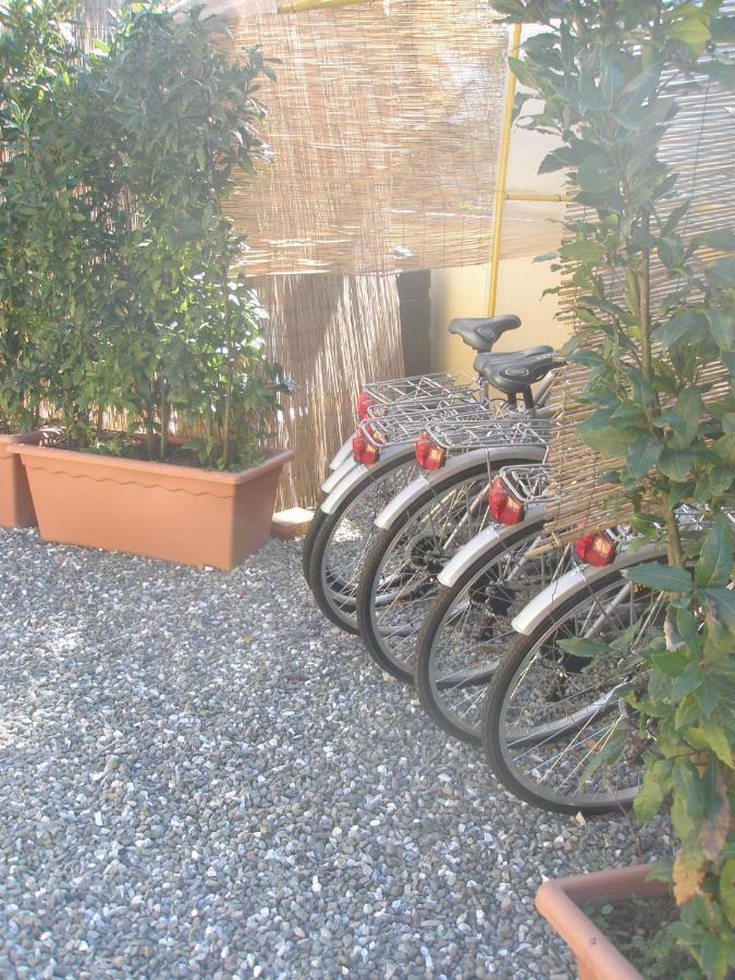 B&B La Rondine Tra Pisa E Lucca San Giuliano Terme Dış mekan fotoğraf