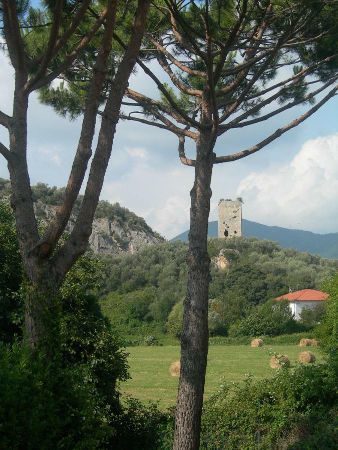 B&B La Rondine Tra Pisa E Lucca San Giuliano Terme Dış mekan fotoğraf