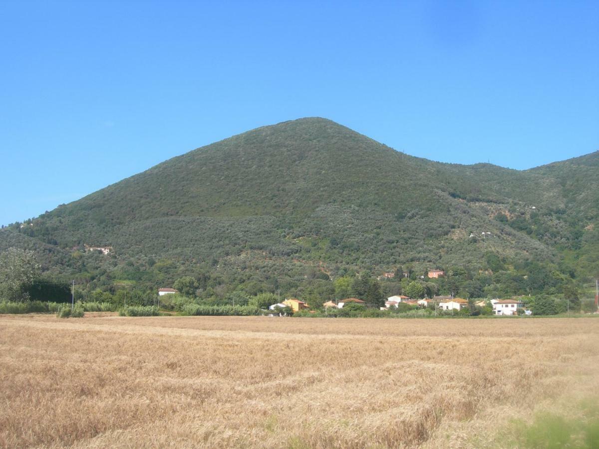 B&B La Rondine Tra Pisa E Lucca San Giuliano Terme Dış mekan fotoğraf
